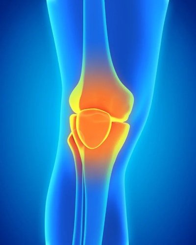 movewell-daily-knee-support